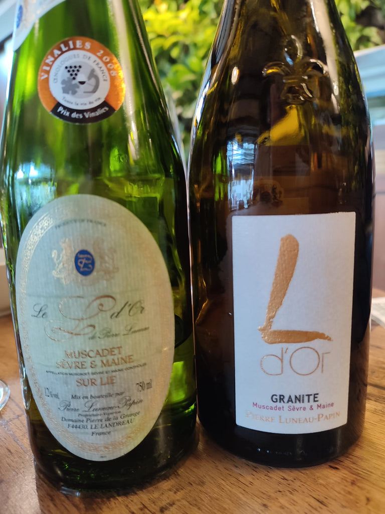 Wine of the week, pricing, and shipping